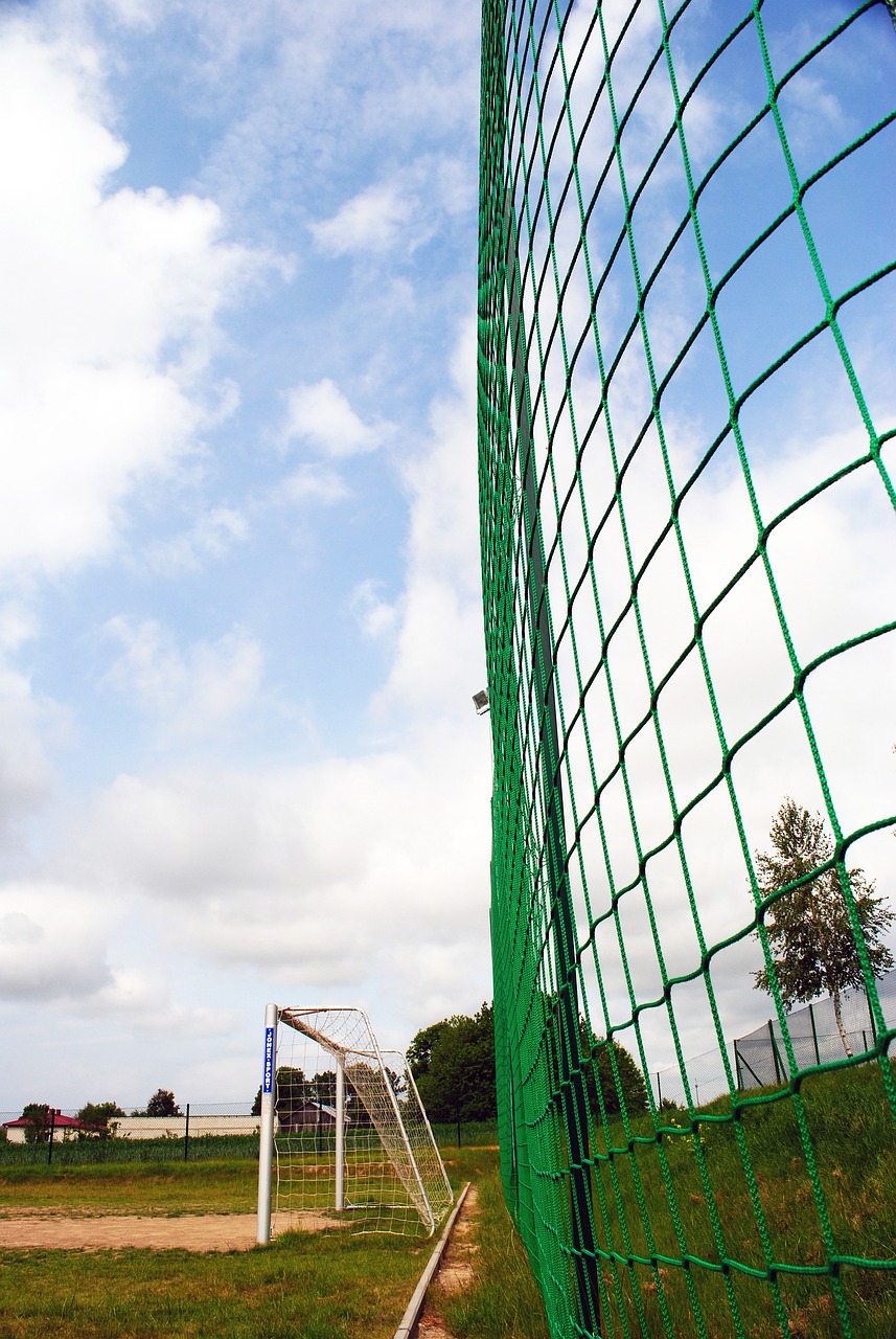 干扰对手投 干扰对手投