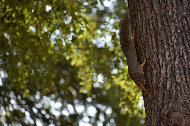 已经有一段 已经有一段