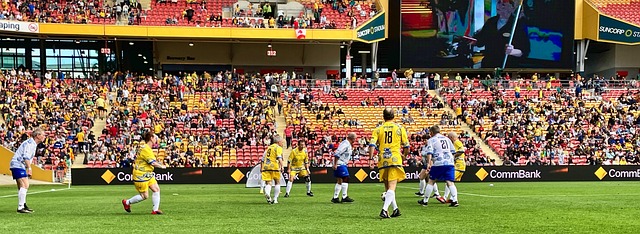 案例表明 案例表明