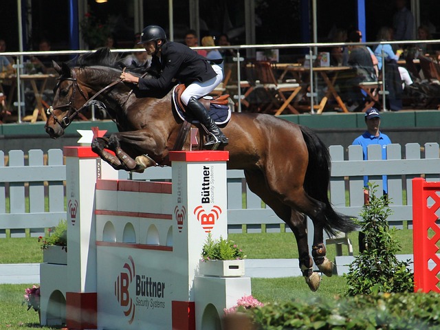 内马尔的2 内马尔的2