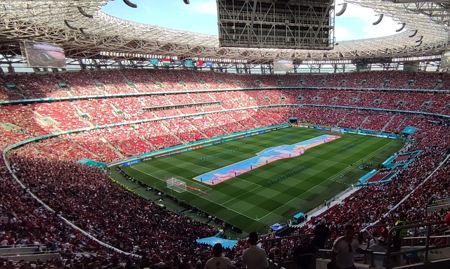 这让人看到 这让人看到