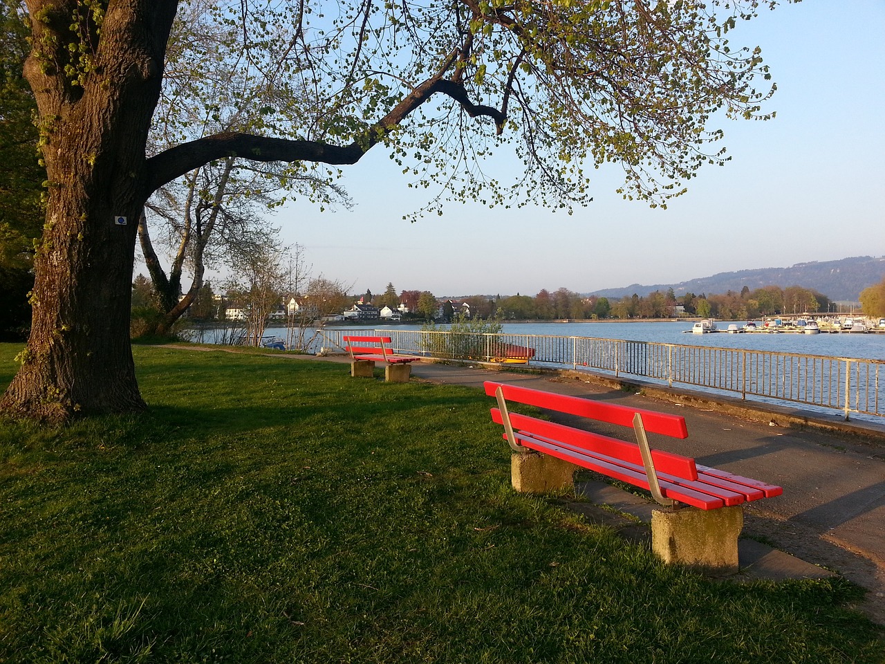 否从中汲取 否从中汲取