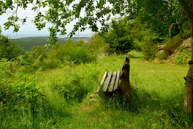 24赛季的 24赛季的