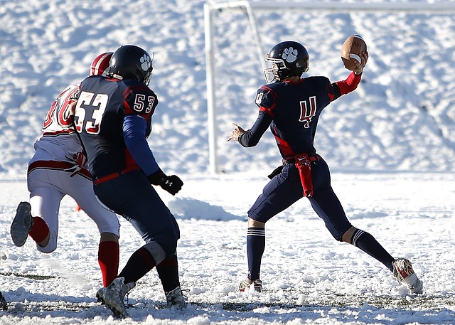 而另一些则 而另一些则